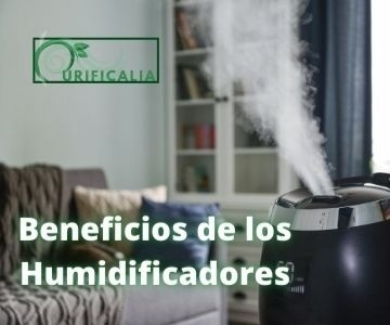 Beneficios de los humidificadores